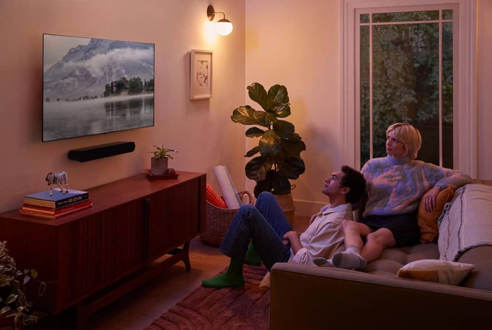 Ray mounted in Living Room